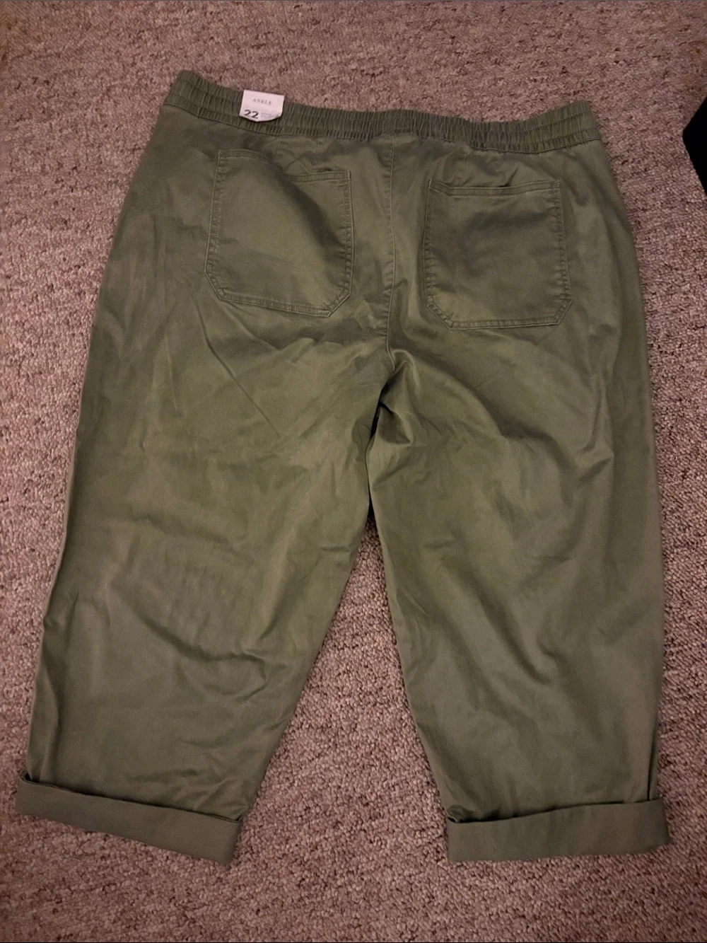 Lane Bryant Olive Drawstring Cropped Chinos